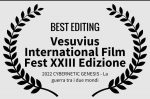 BEST EDITING_winner vesuvius